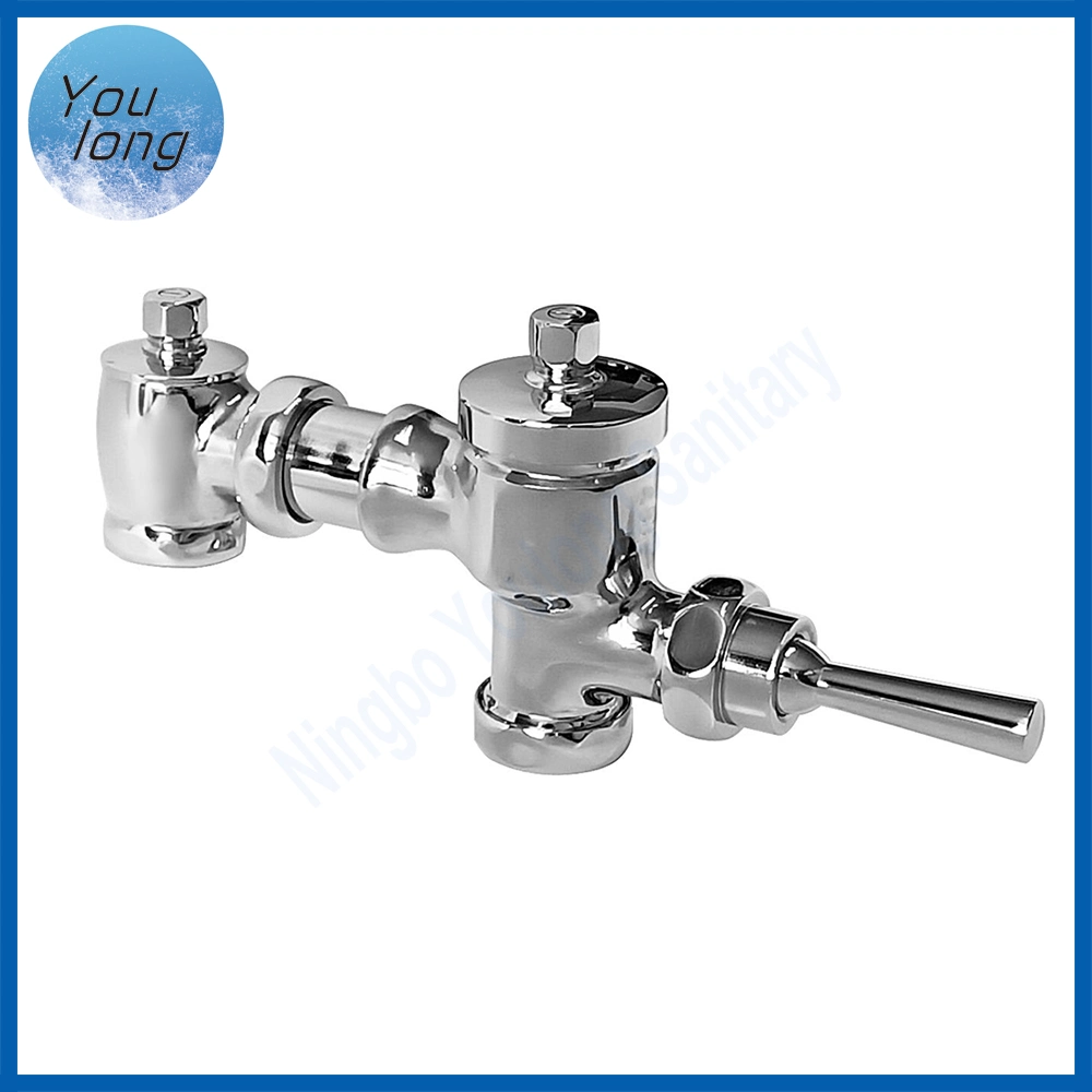 Wall Mounted Bathroom Flush Faucet Brass Time Delay Urinal Toilet Flush Valve