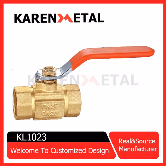 Schwimmersteuerventil aus Gusseisen